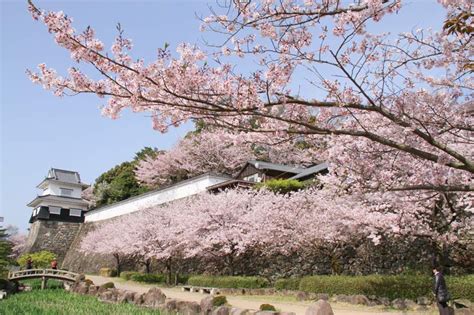 大村市 風俗|【2024/12/05最新】大村市の風俗ランキング｜口コミ風俗情報